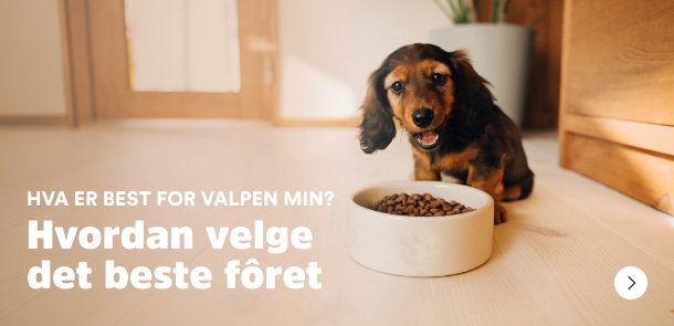 sm&aring;potene valp valpemat guide