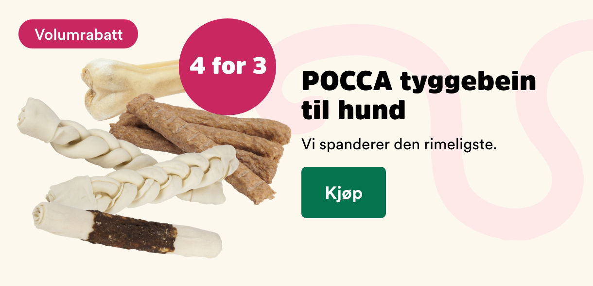 musti.no startside hund multibuy 4 for 4 på POCCA tygg