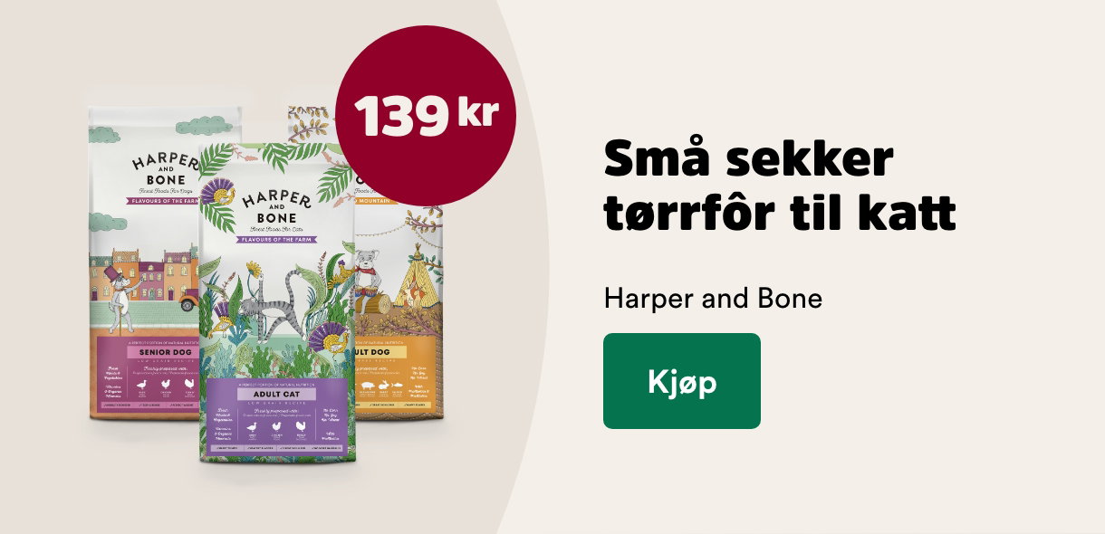 musti.no kampanjeside k5 harper and bone sm&aring; sekker katt 139,-