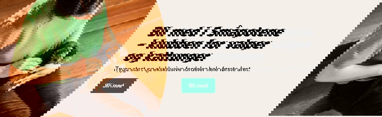 musti.no startside sm&aring;potene