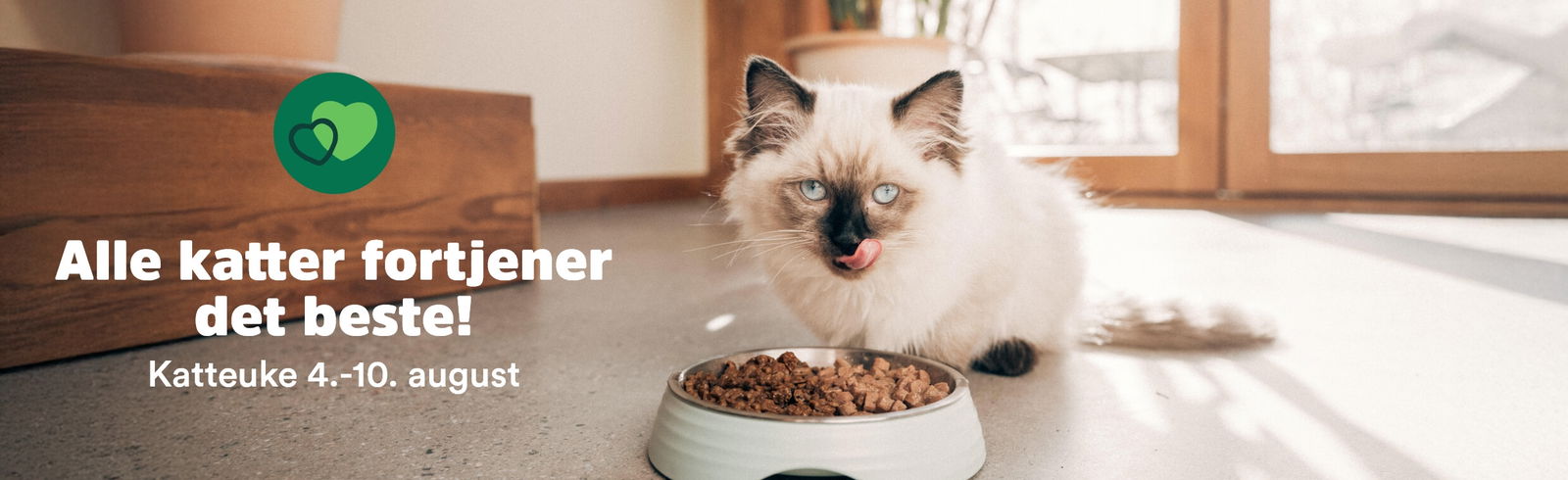 musti.no aktiviteter cat week