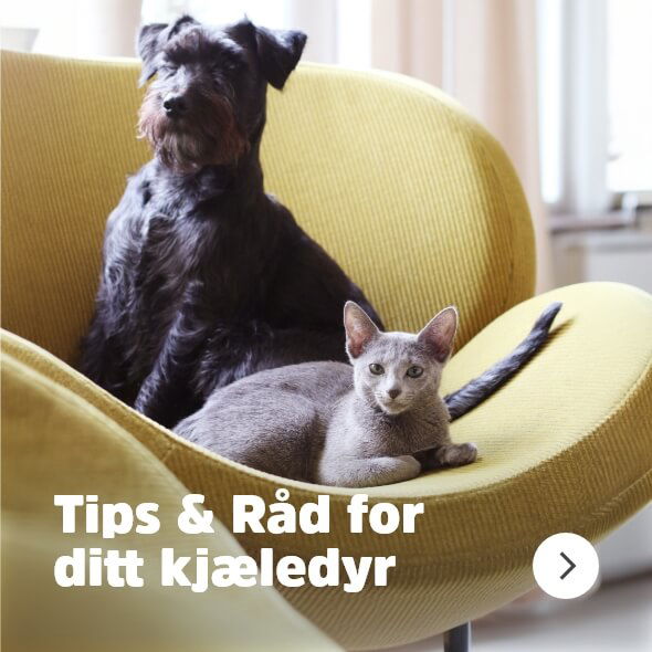 musti.no startside valp Navigasjon Tips