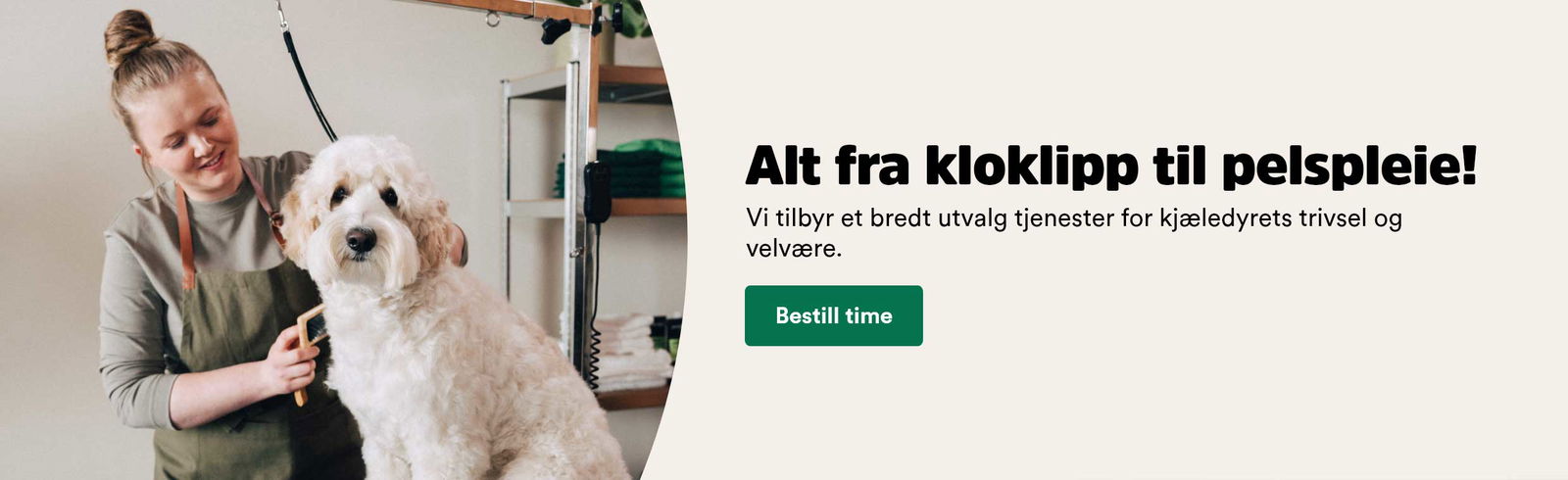 musti.no startside hund spa