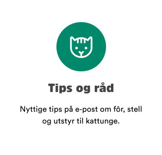 smapotene kattunge tips og r&aring;d