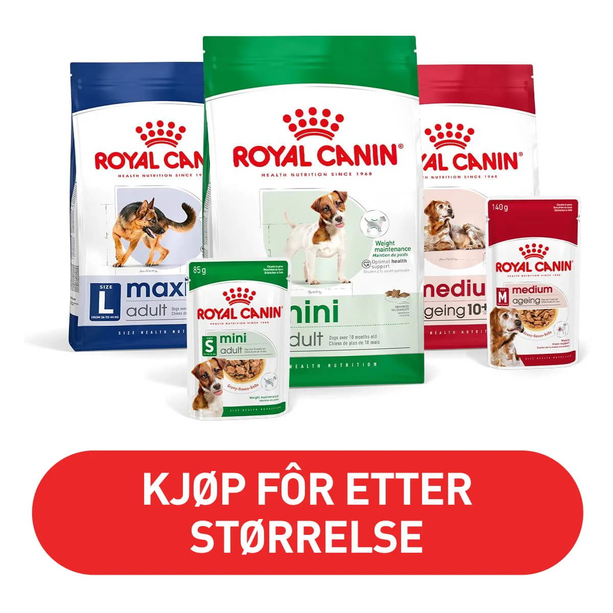 Musti Royal Canin størrelse