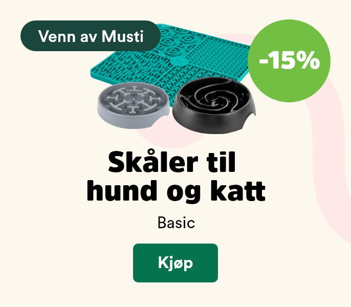 musti.no startside k5 basic