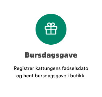 sm&aring;potene kattunge f&oslash;dselsdagsgave