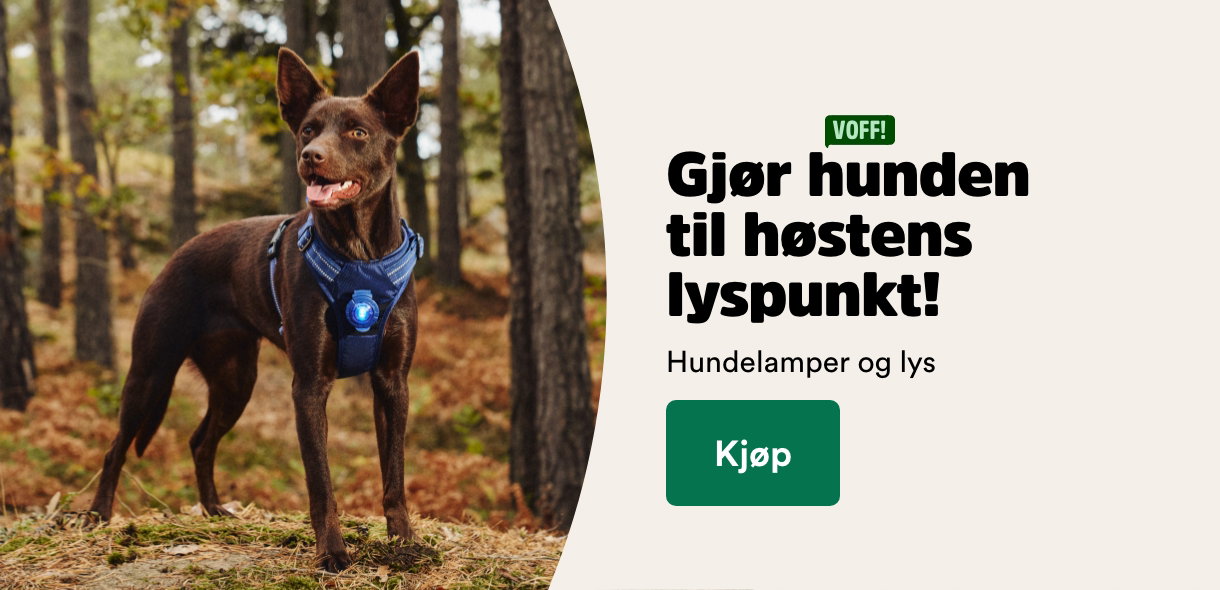 musti.no hundelys uplift