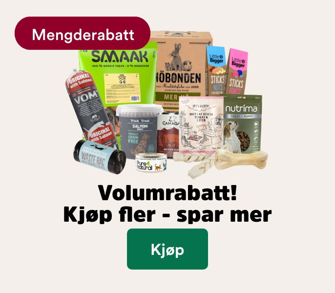 Porno filmlarni onlayn divx sifatli tomosha qiling