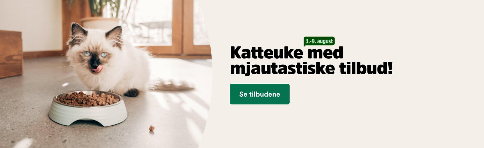 musti.no kampanjeside katt cat week