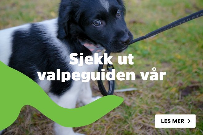 valpeguide