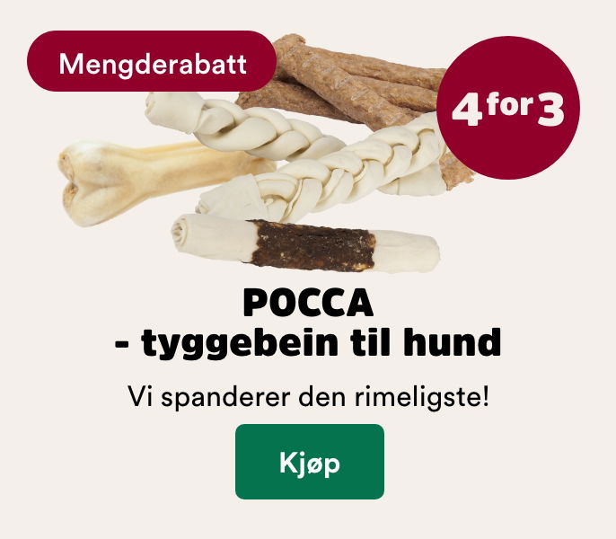 musti.no startside hund multibuy POCCA