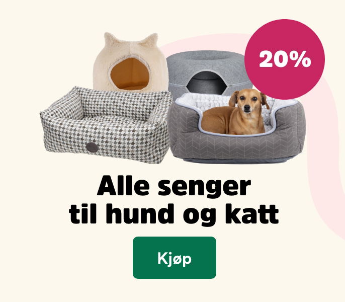 musti.no startside k6 beds