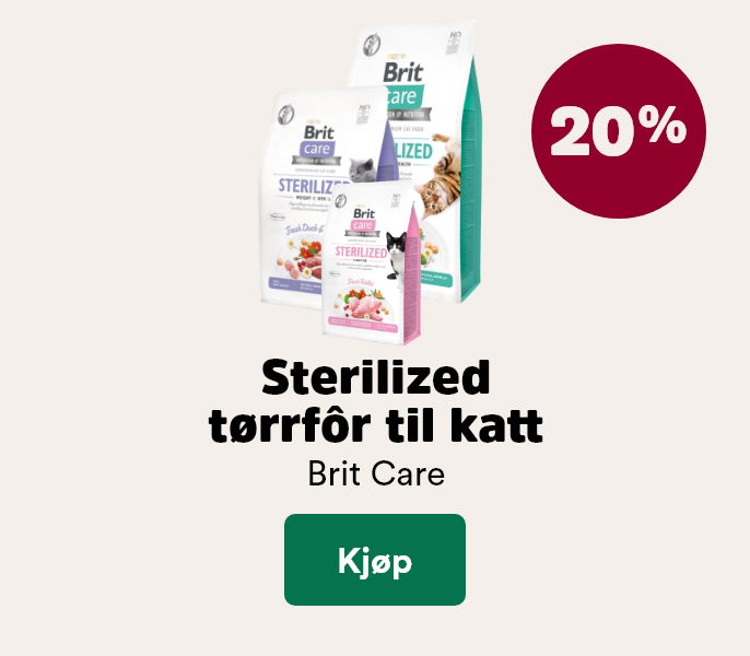 musti.no startside kattunge k3 brit care sterilised 20%