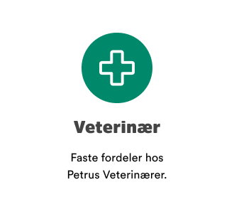 Venn av Musti petrus veterin&aelig;r