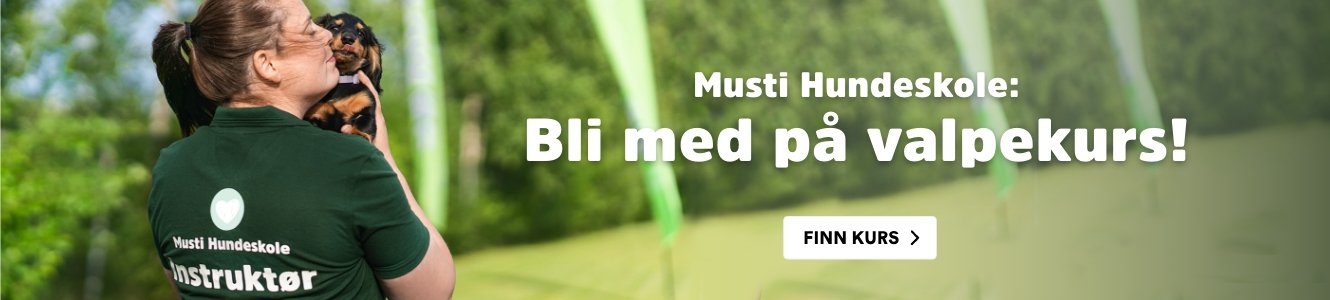 musti.no startside valp valpekurs