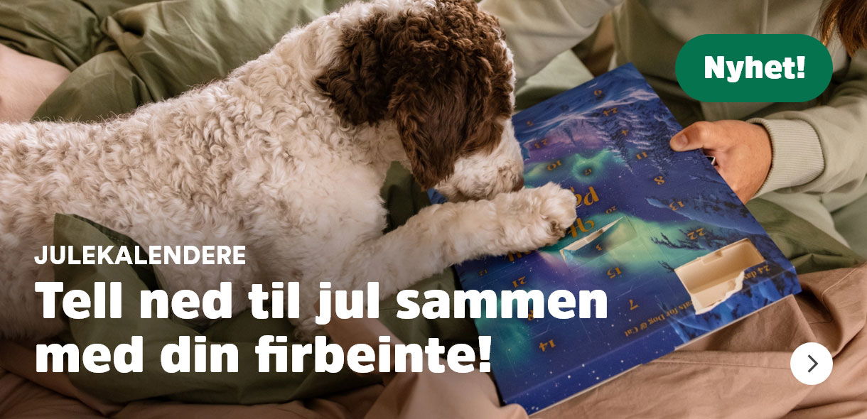 musti.no startside julekalender