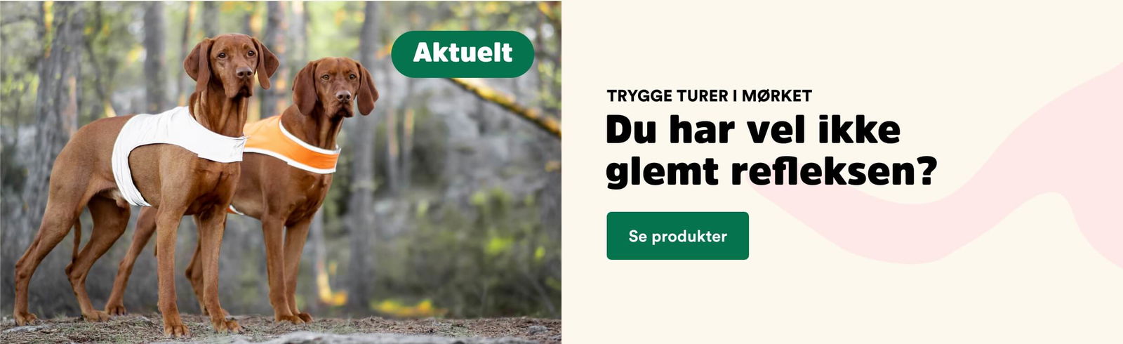refleks til hund