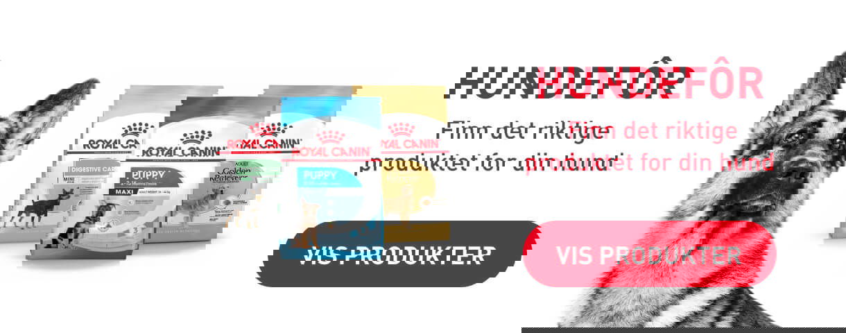 Musti Royal Canin hund