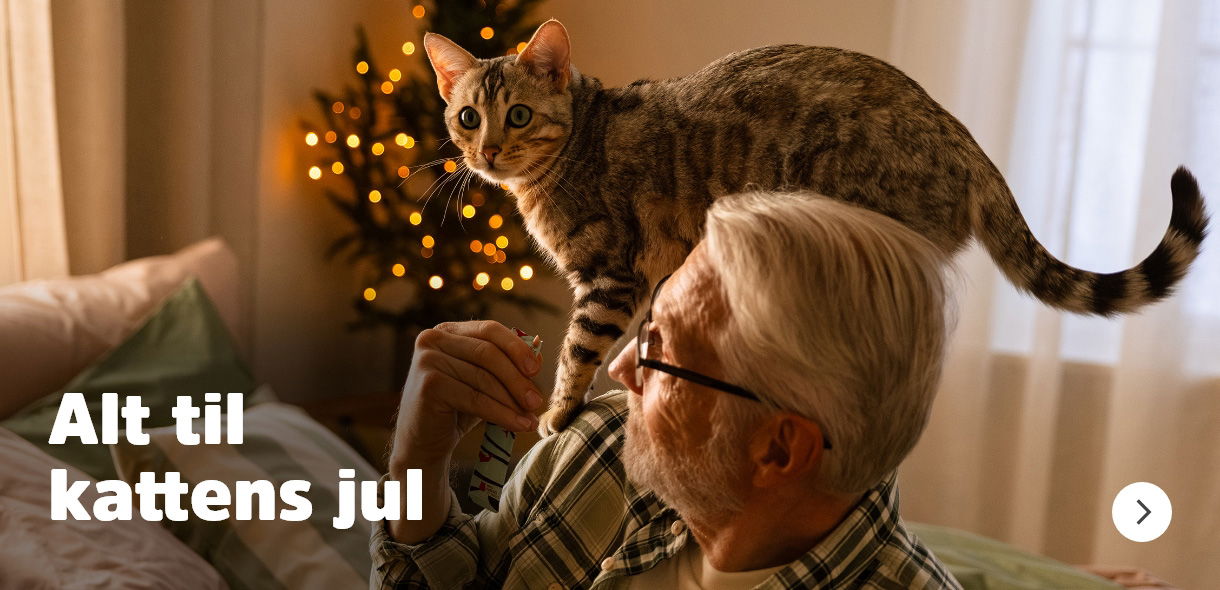 musti.no jul startside kattens jul