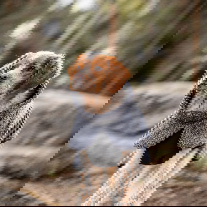 Feel Active Pokka Dekken grå