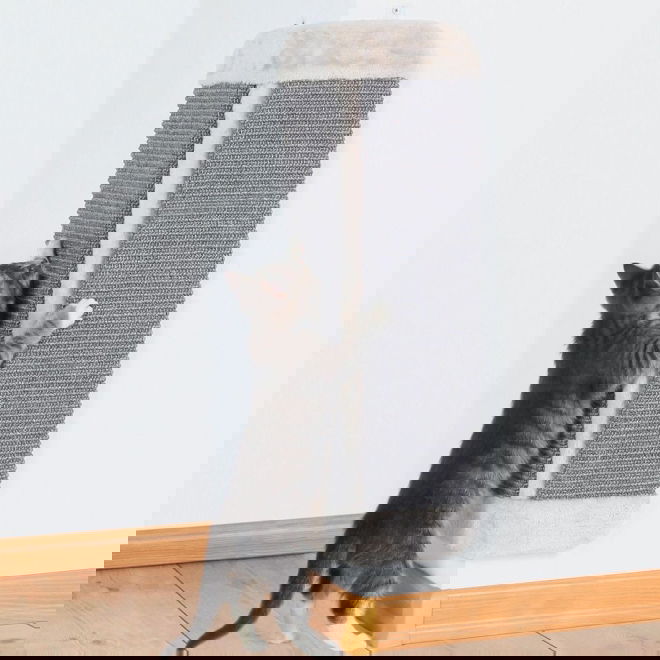 Trixie klorebrett til hj&oslash;rner hvit 32x60 cm