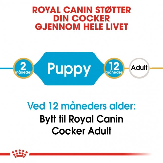 Royal Canin Breed Cocker Puppy tørrfôr til hundvalp