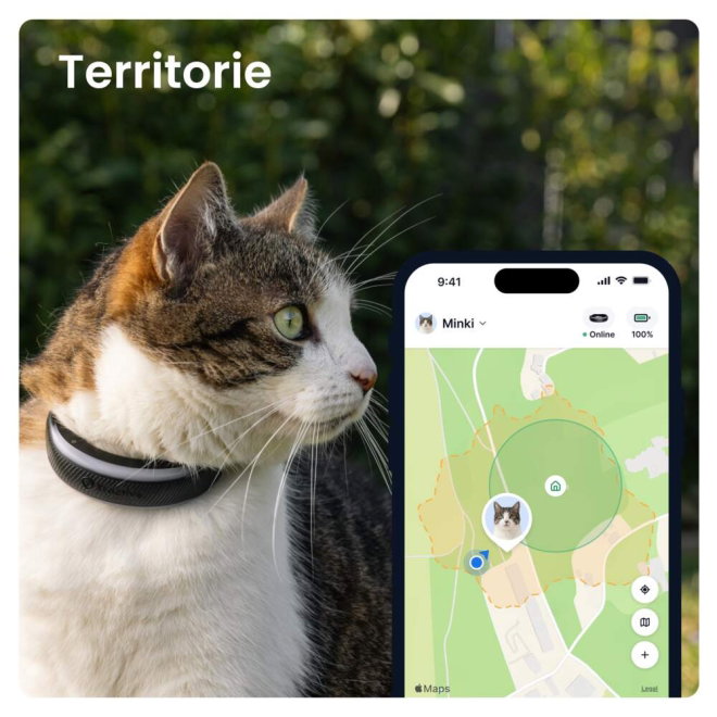 Tractive CAT 6 Mini &ndash; GPS Tracker & Health Monitor (Sort)