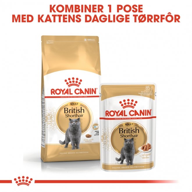 Royal Canin British Shorthair Adult tørrfôr til katt