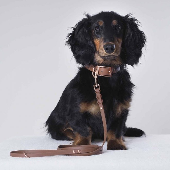 Tyylivoitto Classy Hundehalsbånd Liten Modell, Brun