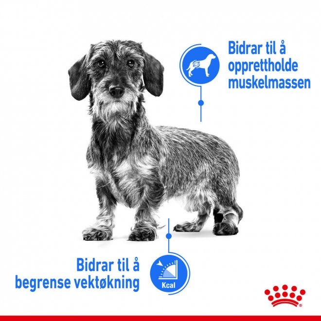 Royal Canin Light Weight Care X-small Adult tørrfôr til hund