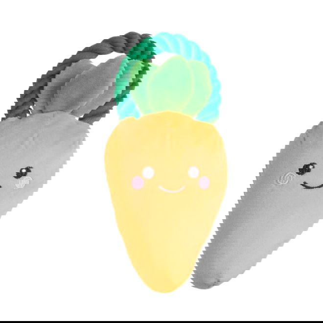 Little&Bigger Puppy Basics Myk Gulrot med tau