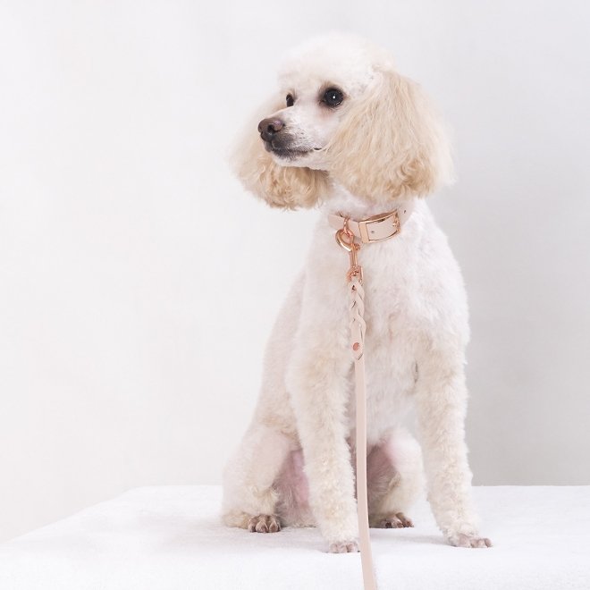 Tyylivoitto Classy Hundehalsbånd Liten Modell, Beige