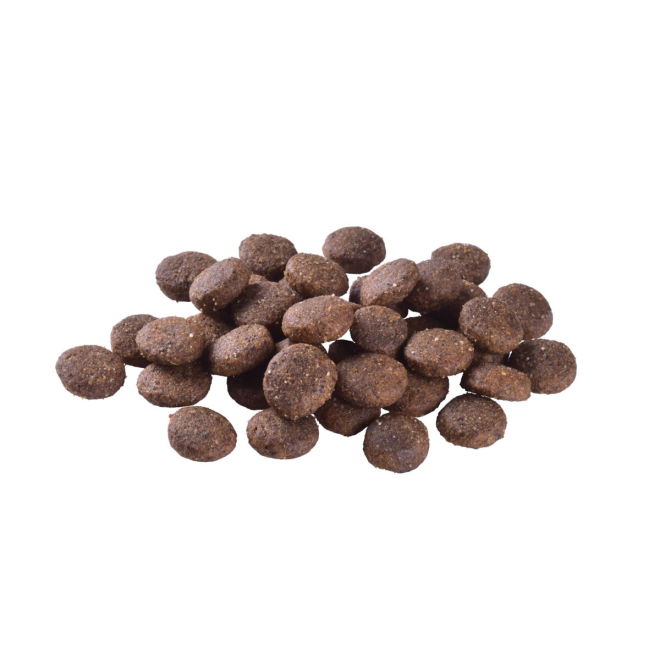Brit Care Dog Junior Large Breed Grain free Salmon (12 kg)