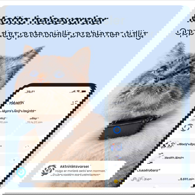 Tractive CAT Mini &ndash; GPS-tracker for katt