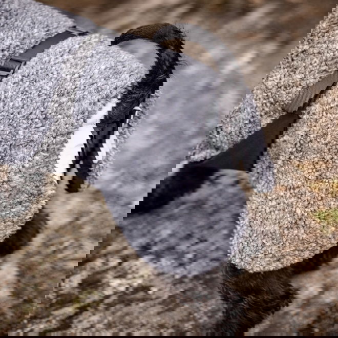 Feel Active Pokka Dekken grå