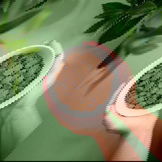 Purenatural Dog Adult Grain Free Pork (2 kg)