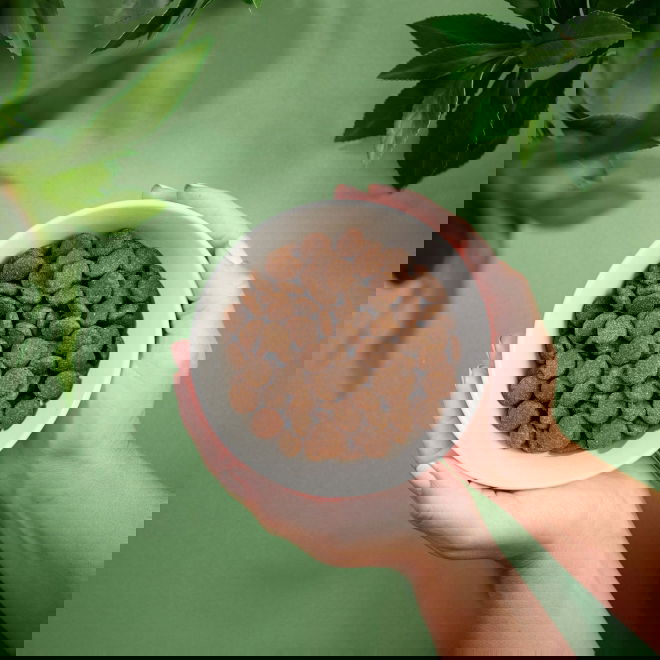 Purenatural Dog Adult Grain Free Salmon (12 kg)