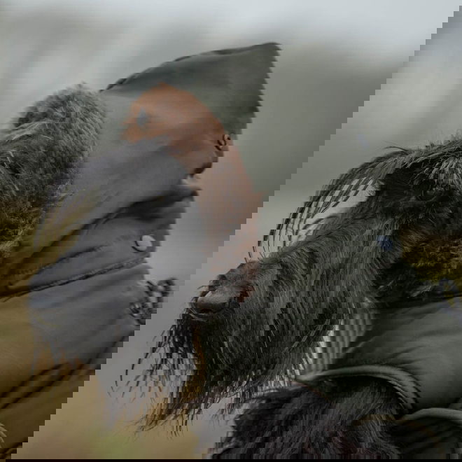 51 Degrees North Inuit Dekken, khaki