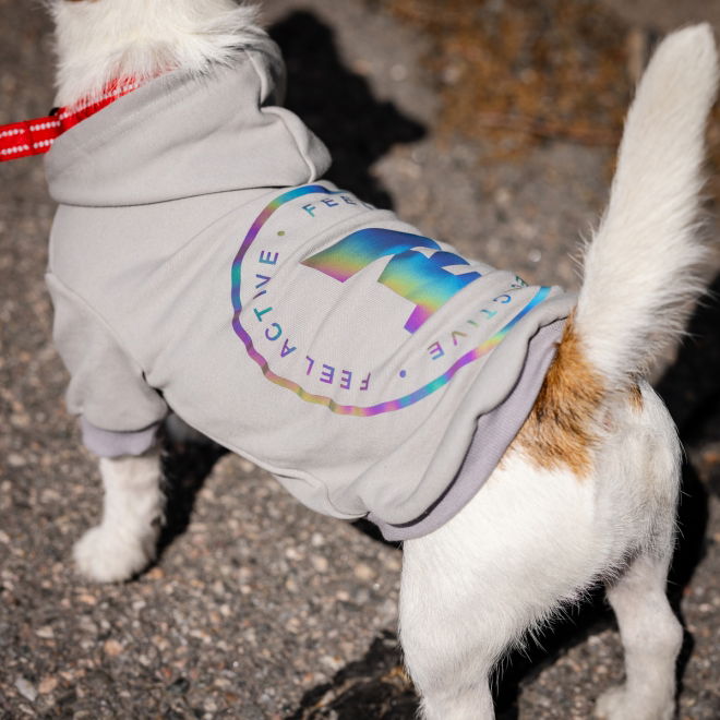 Feel Active Bromma hettegenser til hund grå