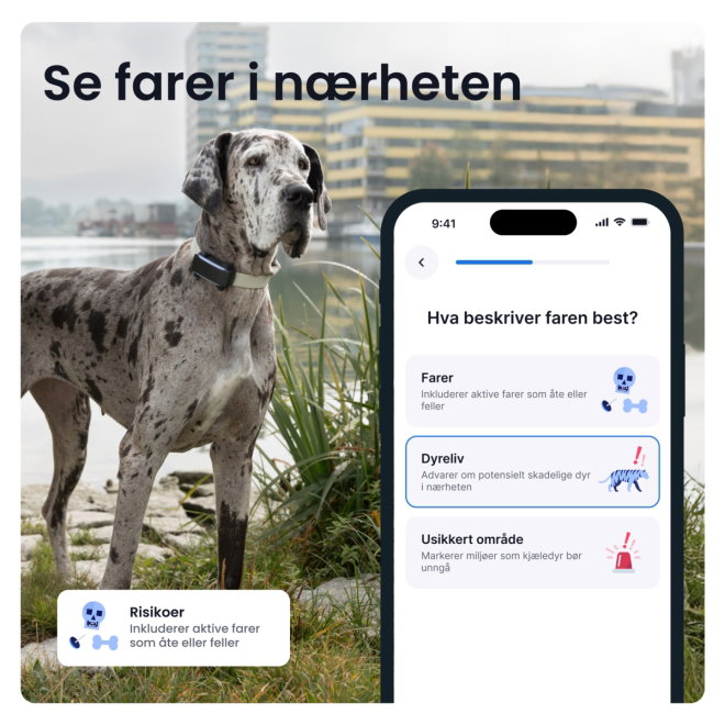 Tractive DOG 6 XL GPS Dog Collar & Health Monitor
