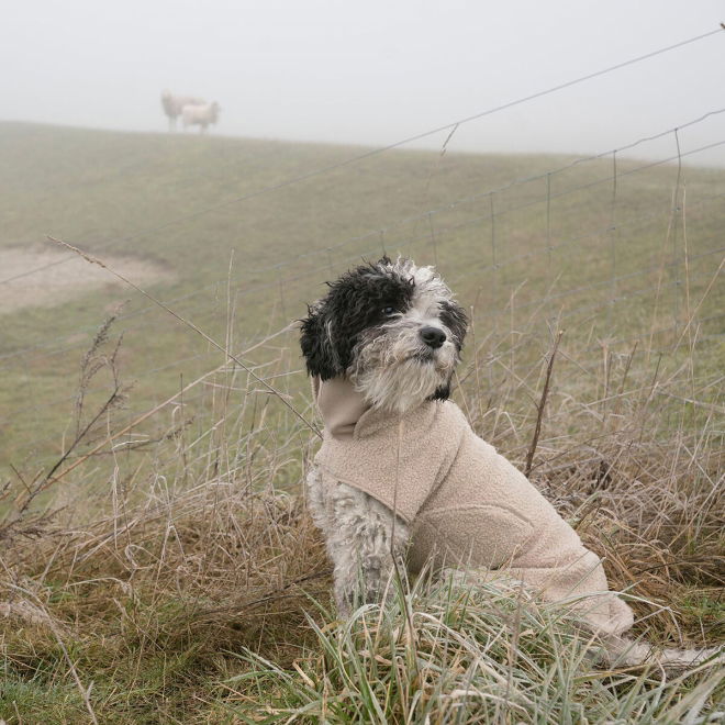 Cloud7 Gotland Dekken Beige