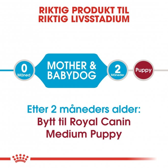 Royal Canin Medium Starter tørrfôr til hund og hundevalp