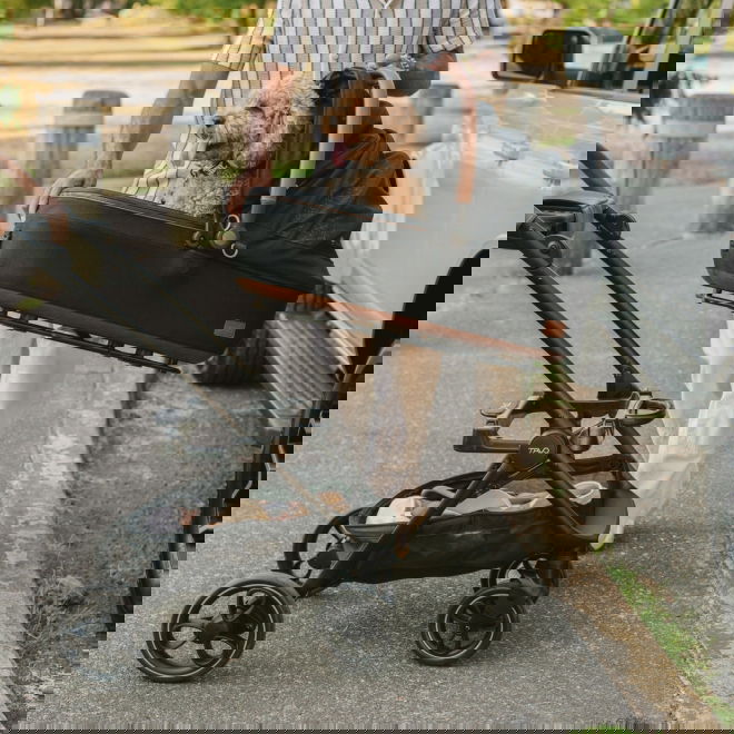 Tavo Roscoe Trek stroller frame