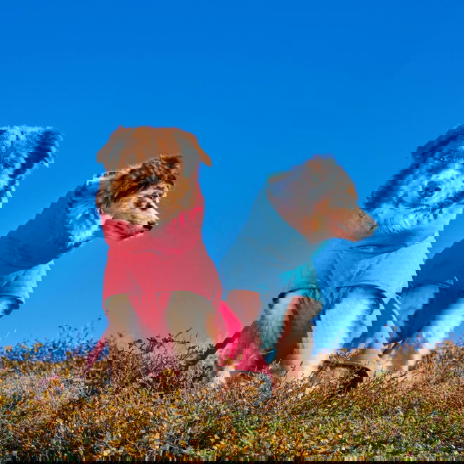 Hurtta Expedition II Vinterdekken Rosa