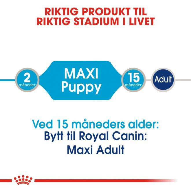 Royal Canin Maxi Puppy 10x140g