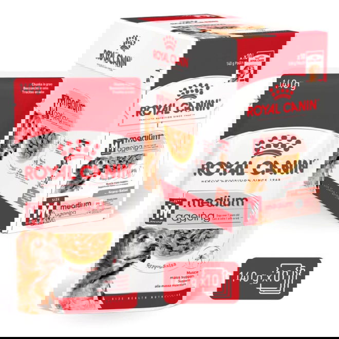 Royal Canin Medium Ageing Gravy v&aring;tf&ocirc;r til hund 10x140 g