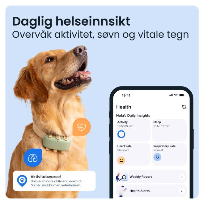 Tractive GPS til hund XL