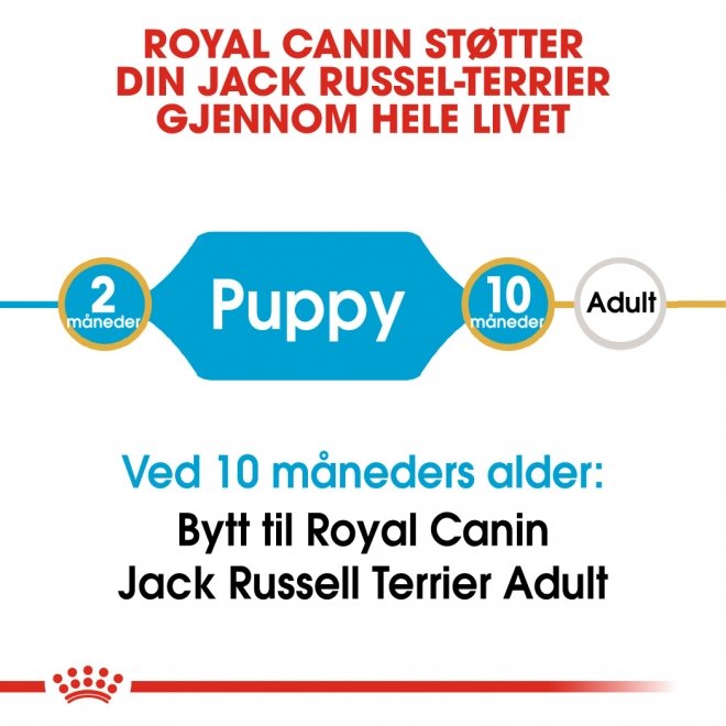 Royal Canin Breed Jack Russel Puppy tørrfôr til hundvalp