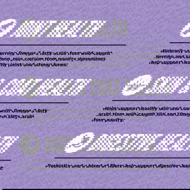 Orijen Dog Adult Large Breed Poultry & Fish 11,4 kg